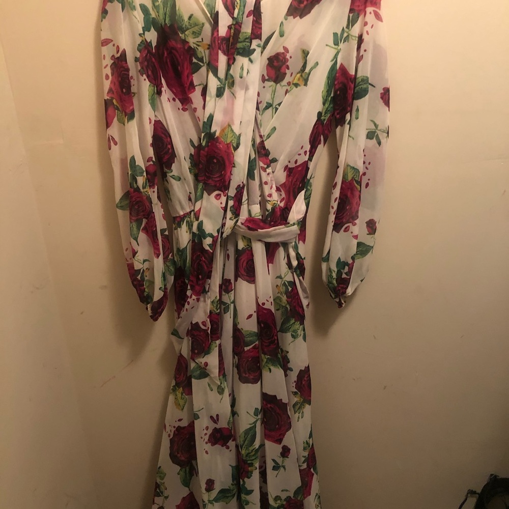 Beautiful Red Carpet Dress